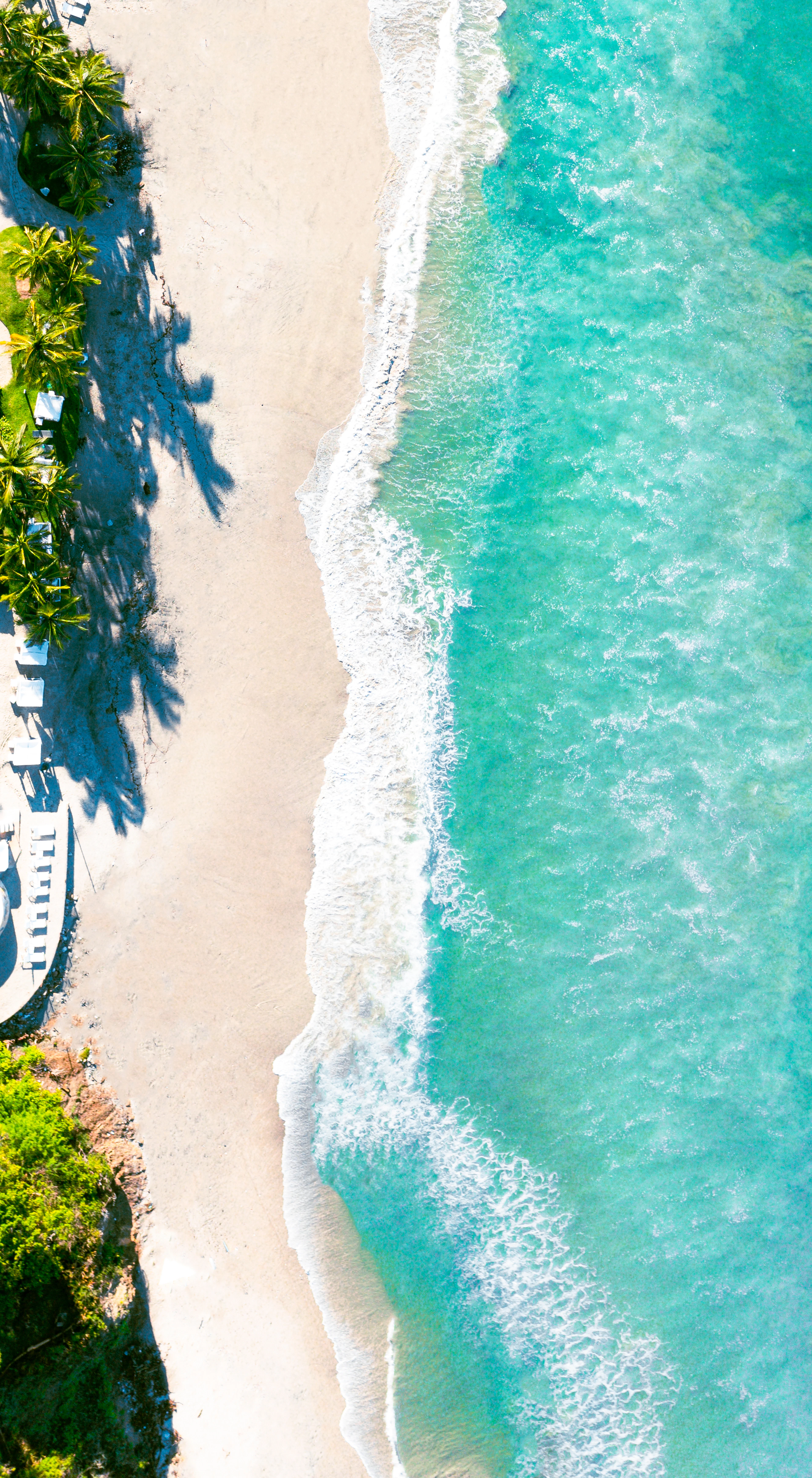 Sayulita culture