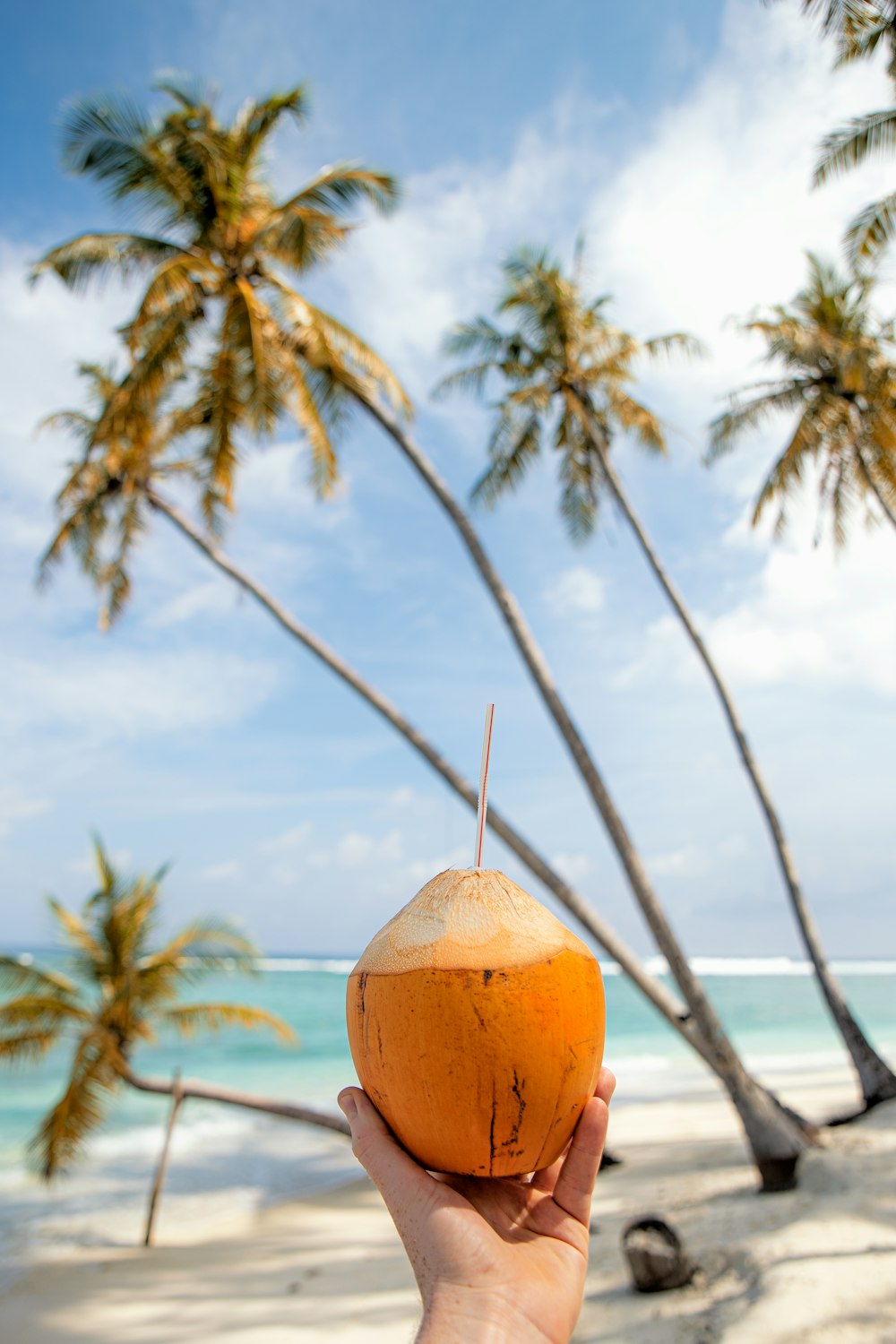 a person holding up a coconut on a beach