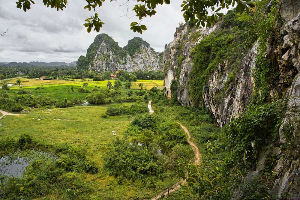 a lush green valley surrounded by mountains