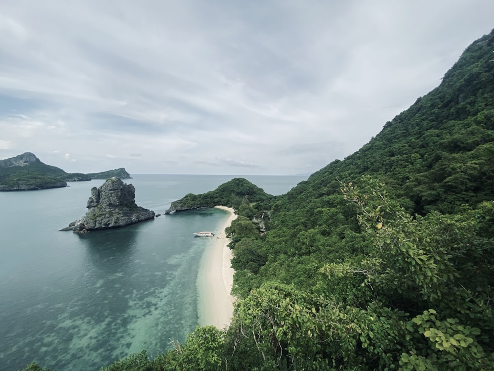 an aerial view of a beach surrounded by trees