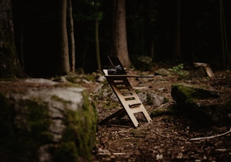 a wooden bench sitting in the middle of a forest