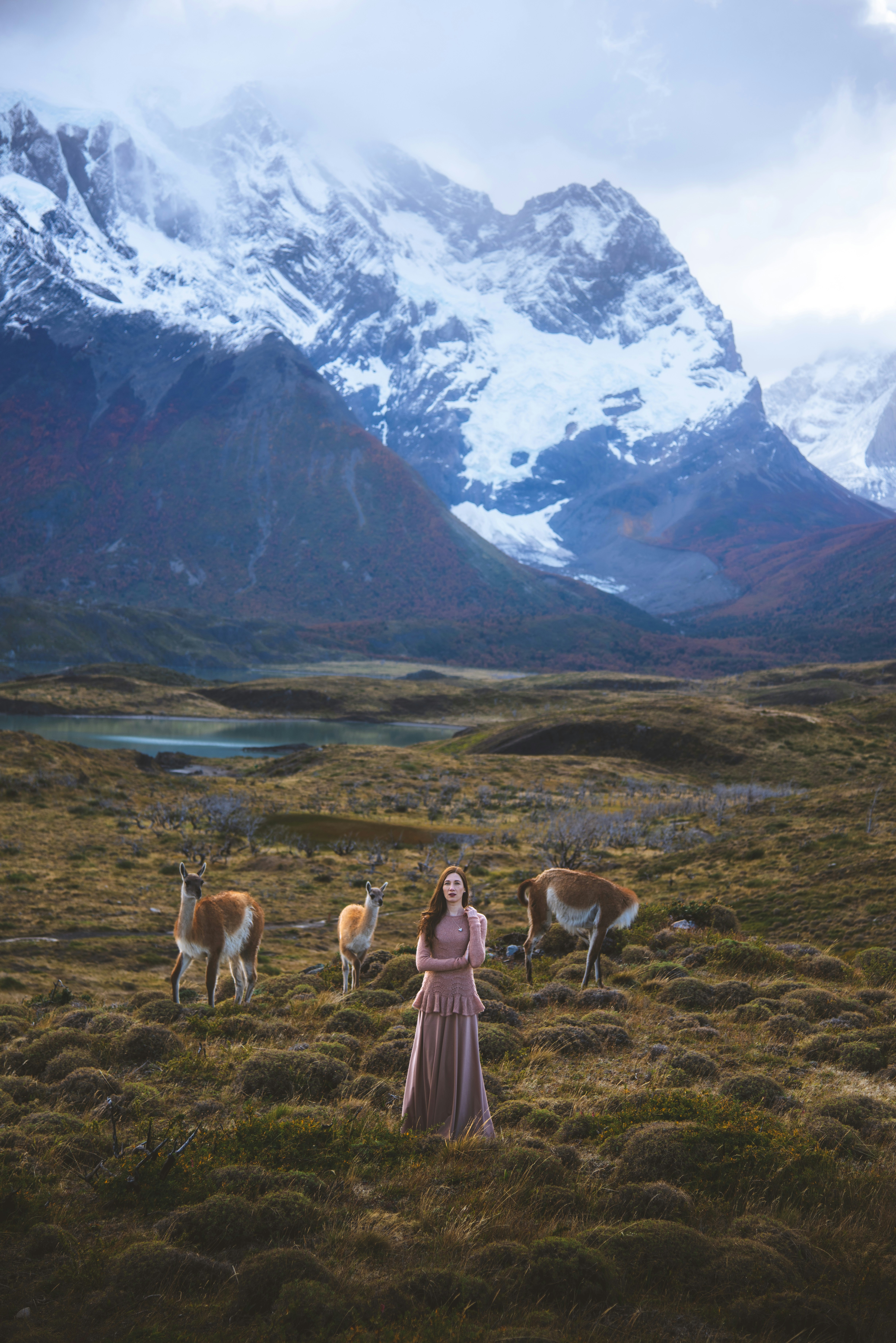 Girl posing with guanacos in the wild Patagonian landscape