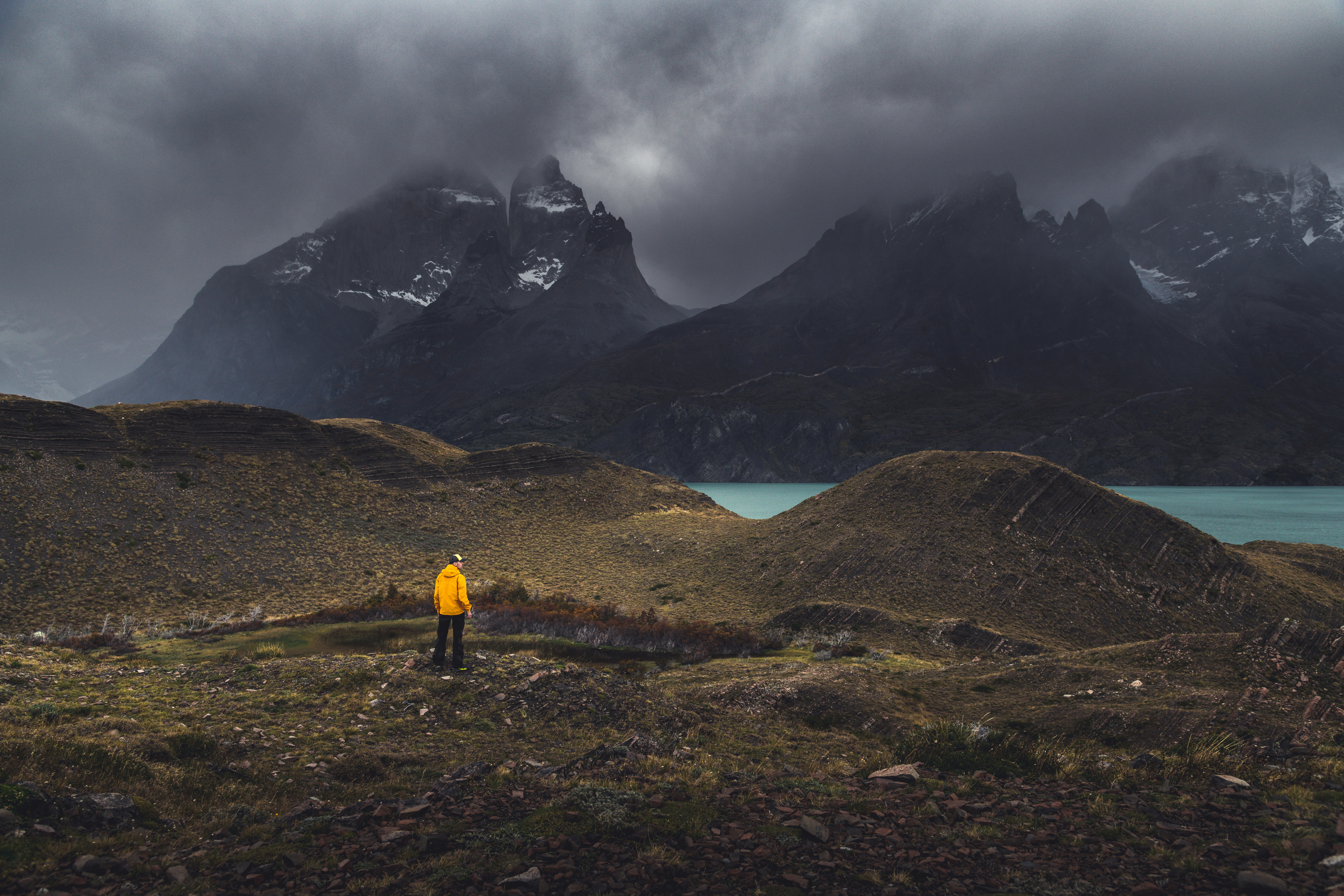 a person in a yellow jacket standing in a field with mountains in the background