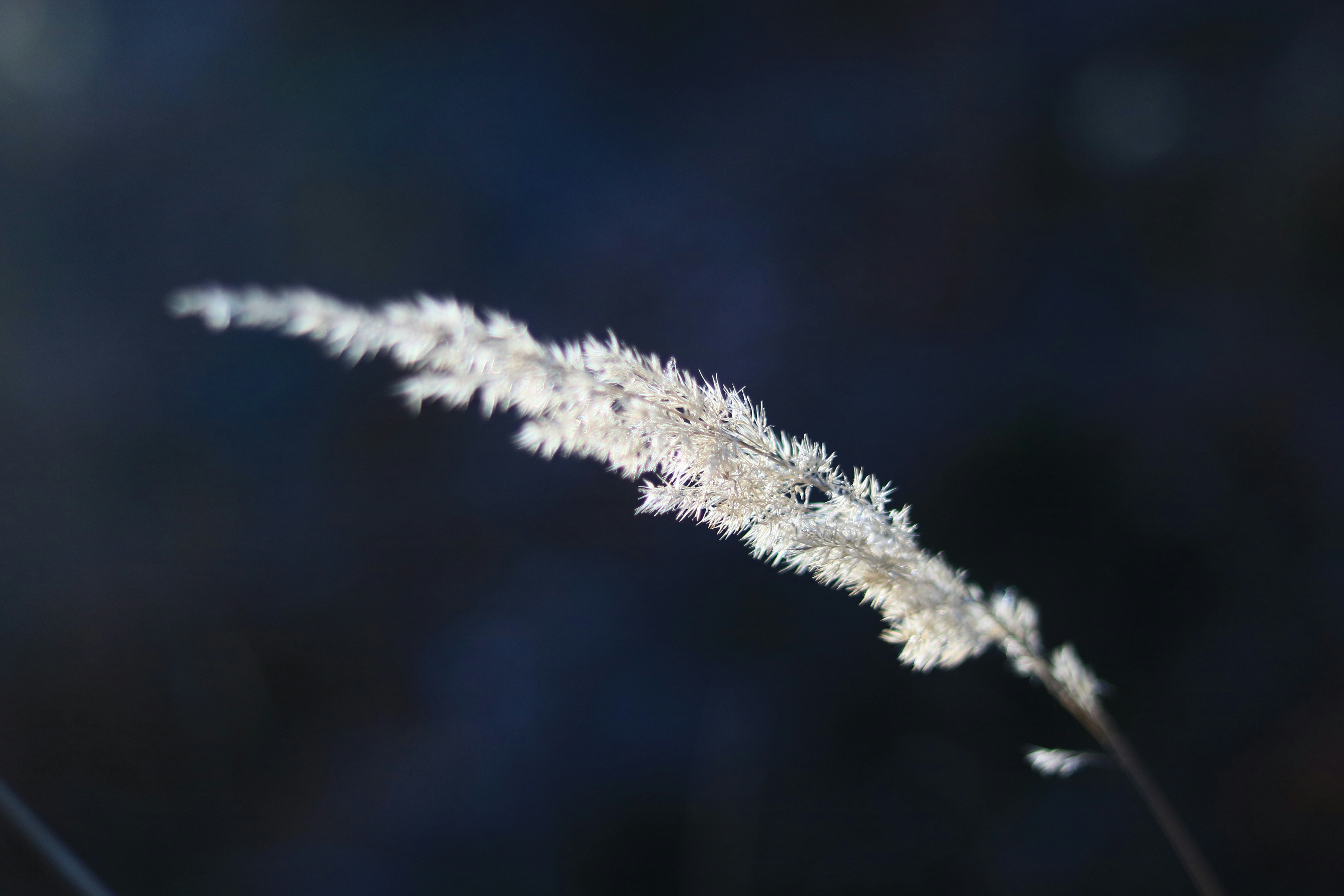 Photo by ovidiugruescu