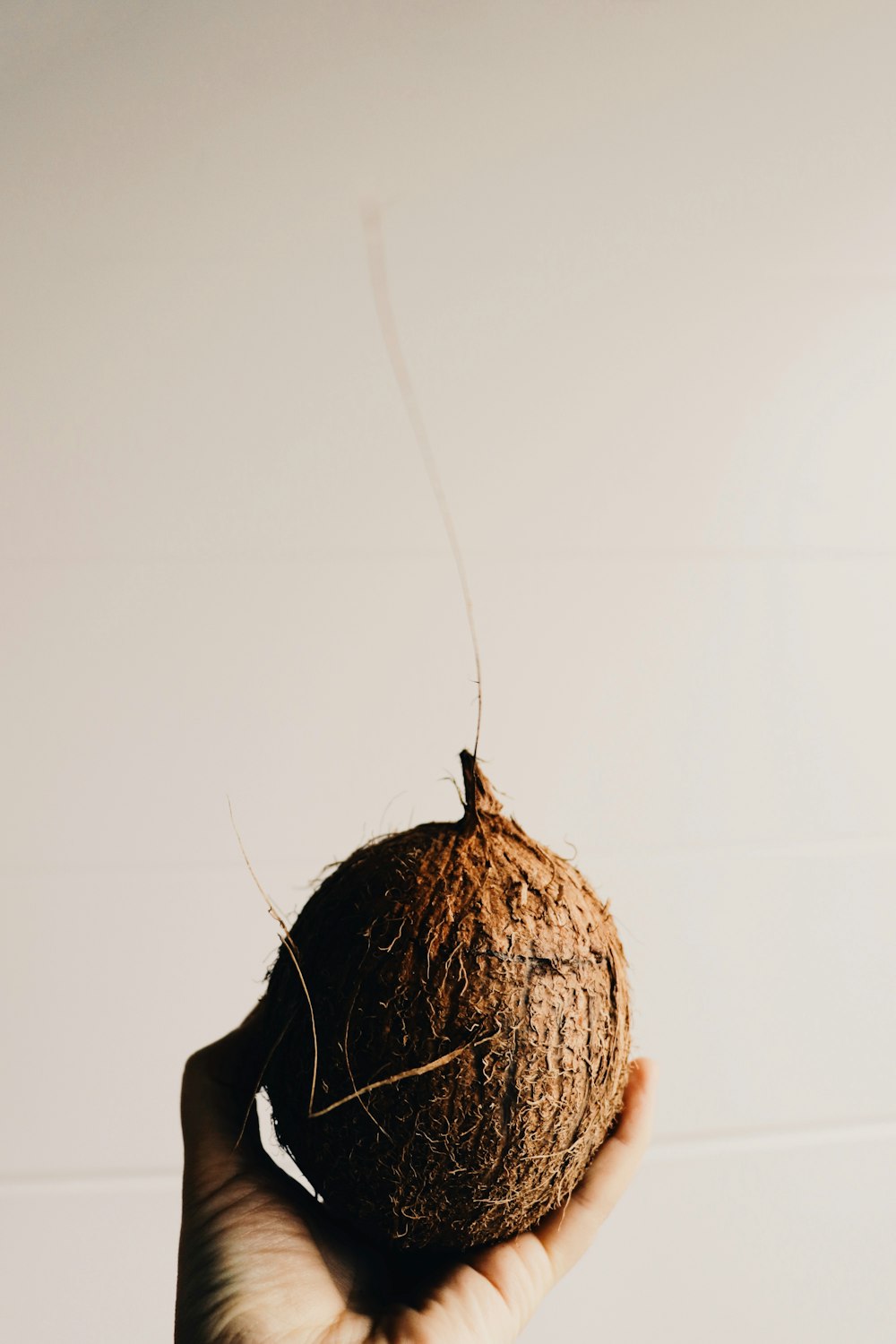 eine Person, die eine Kokosnuss in der Hand hält