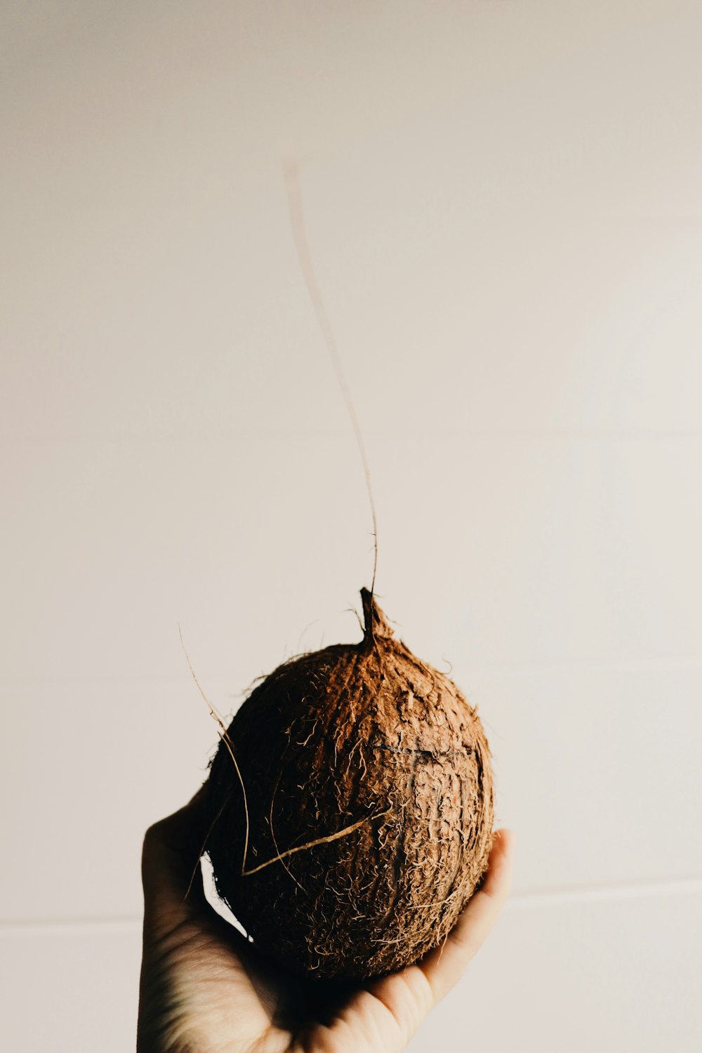 a person holding a coconut in their hand