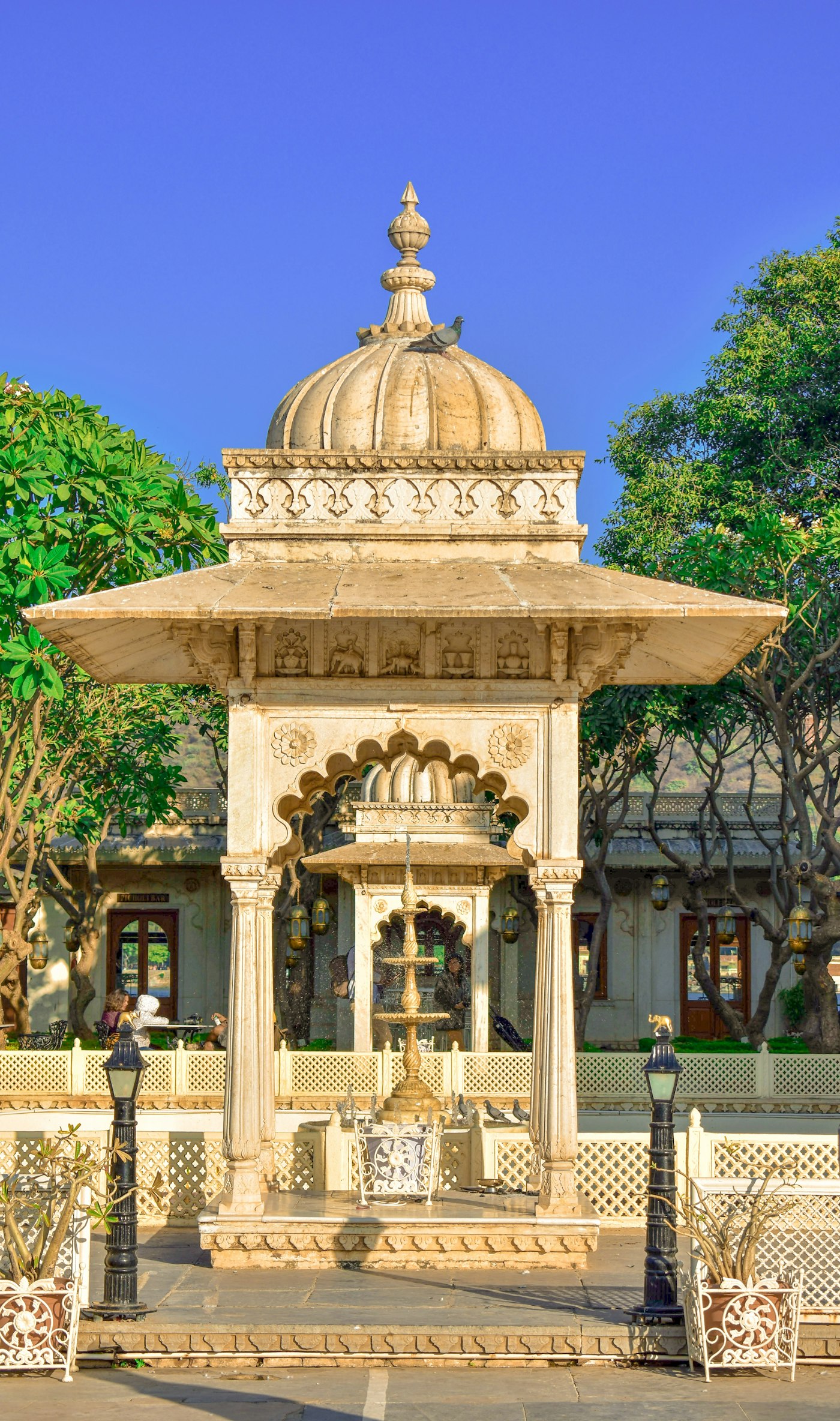 Varsey Rhododendron Sanctuary