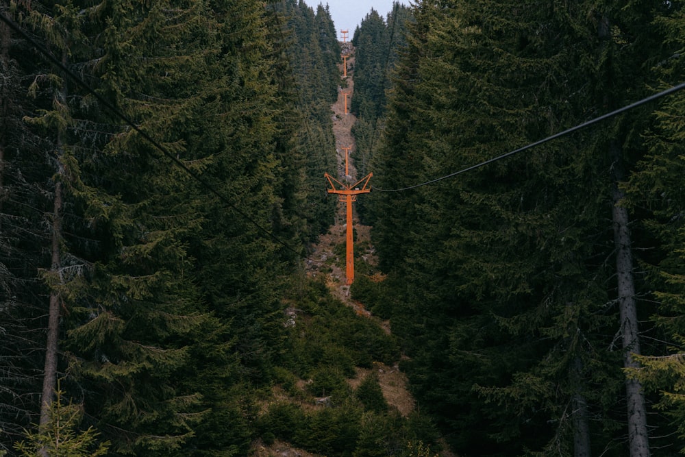 a person riding a zip line in the middle of a forest