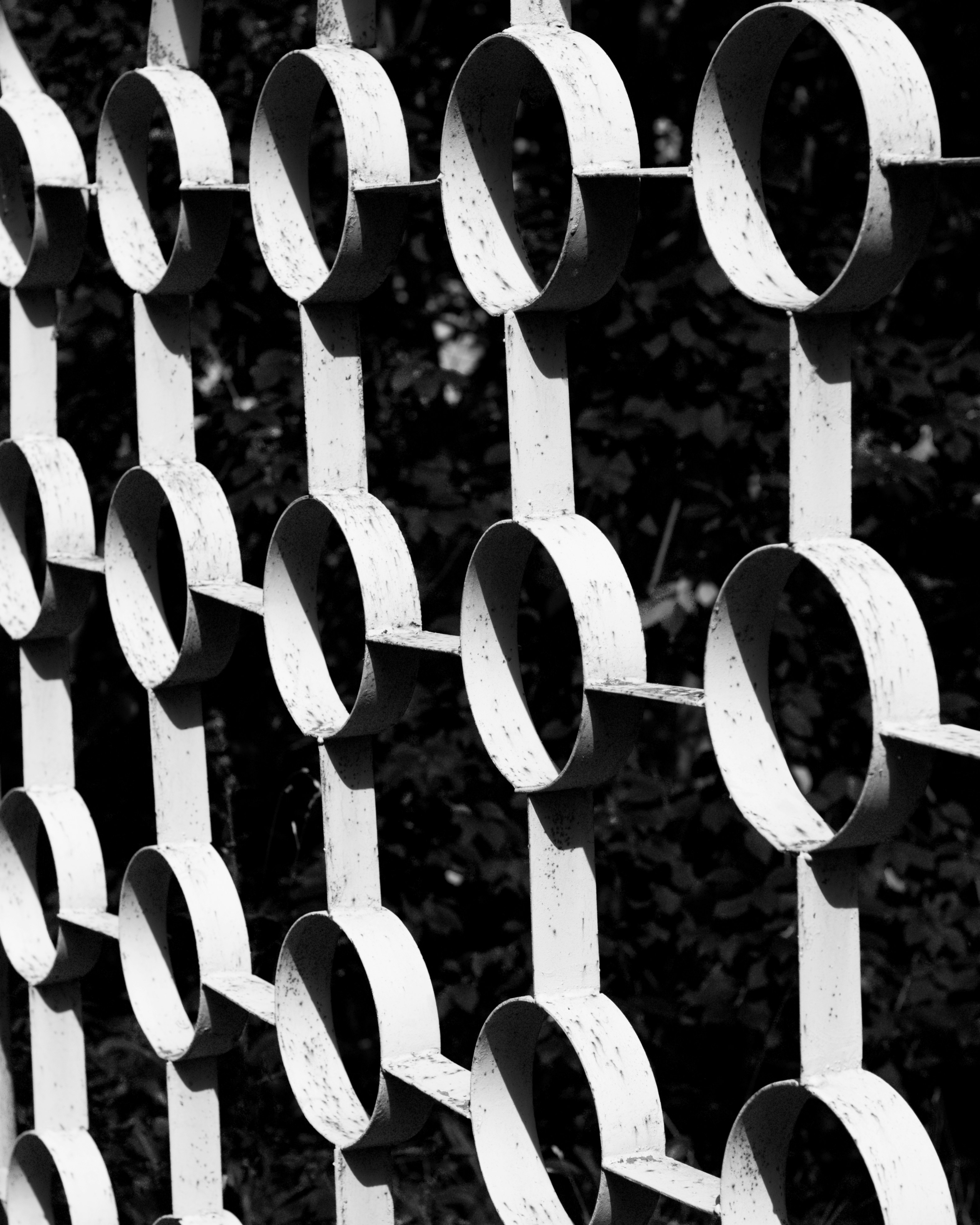 a black and white photo of a metal fence