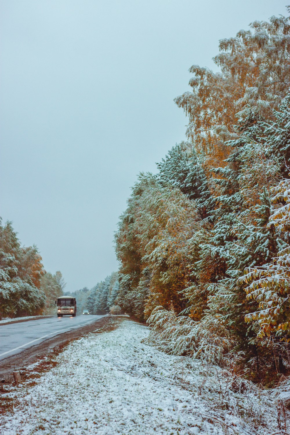 a bus driving down a snowy road next to trees