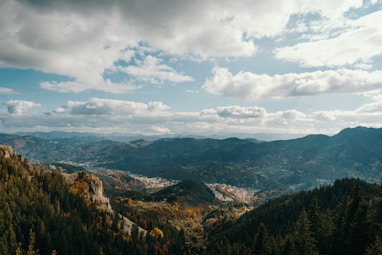 a scenic view of a valley with mountains in the background