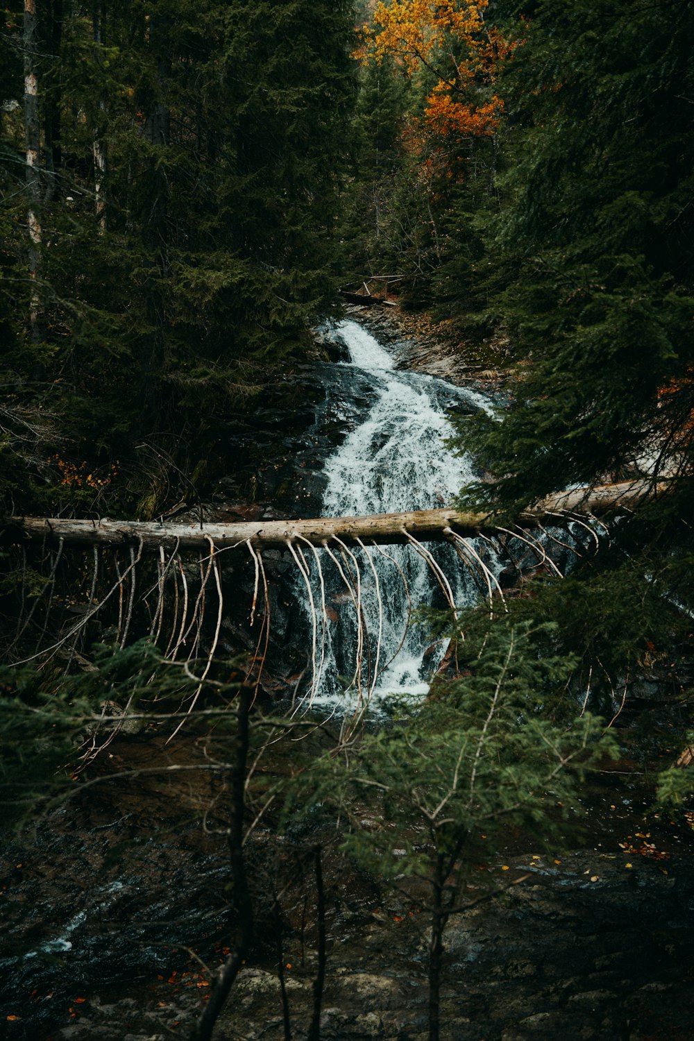 a waterfall in the middle of a forest