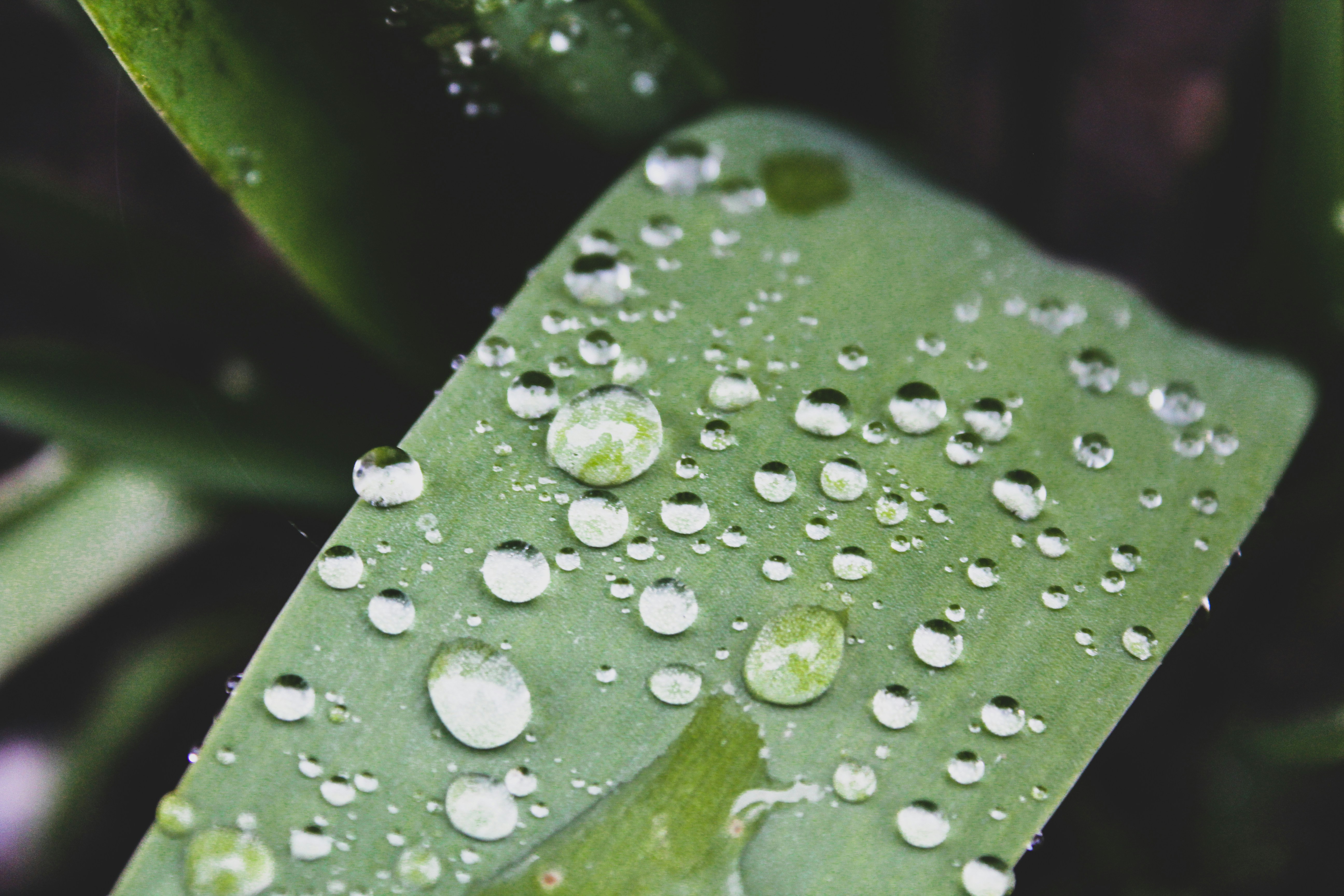 Photo by czapp_arpad