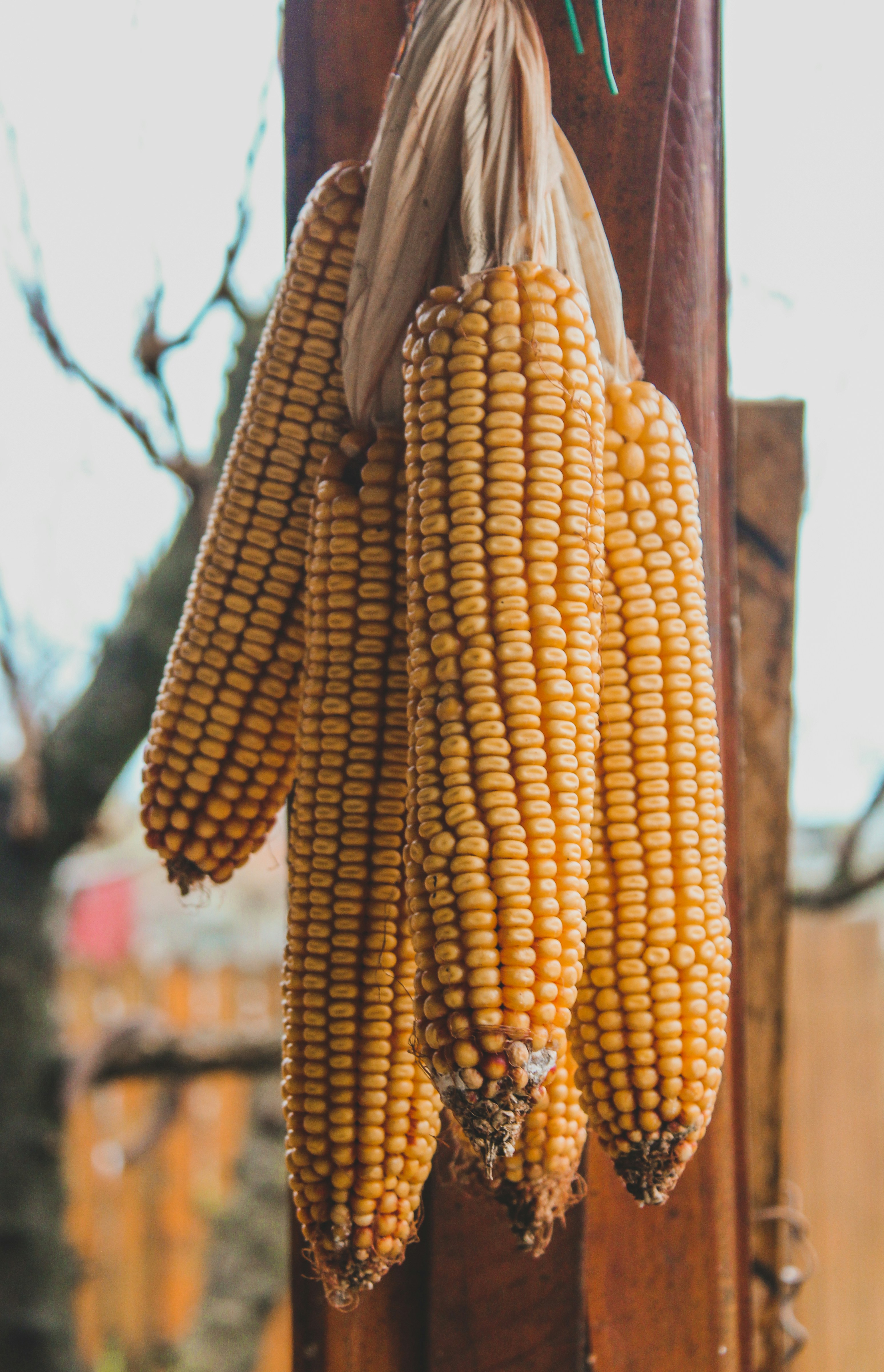 Photo by czapp_arpad