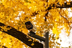 a security camera on a pole in front of a tree