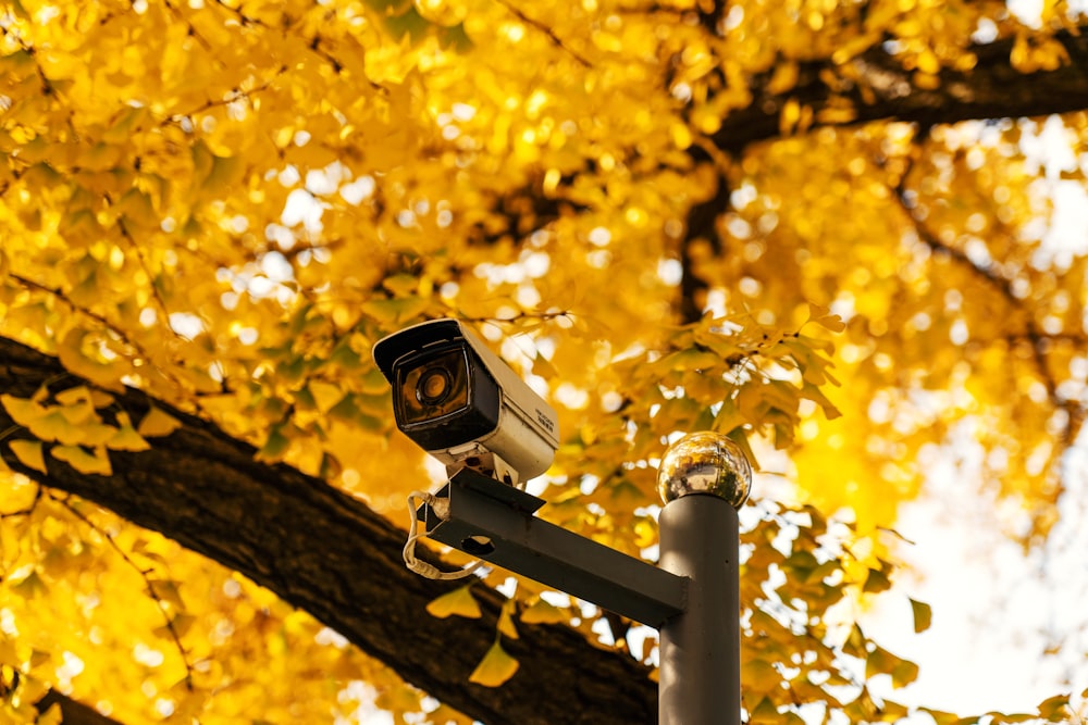 a security camera on a pole in front of a tree