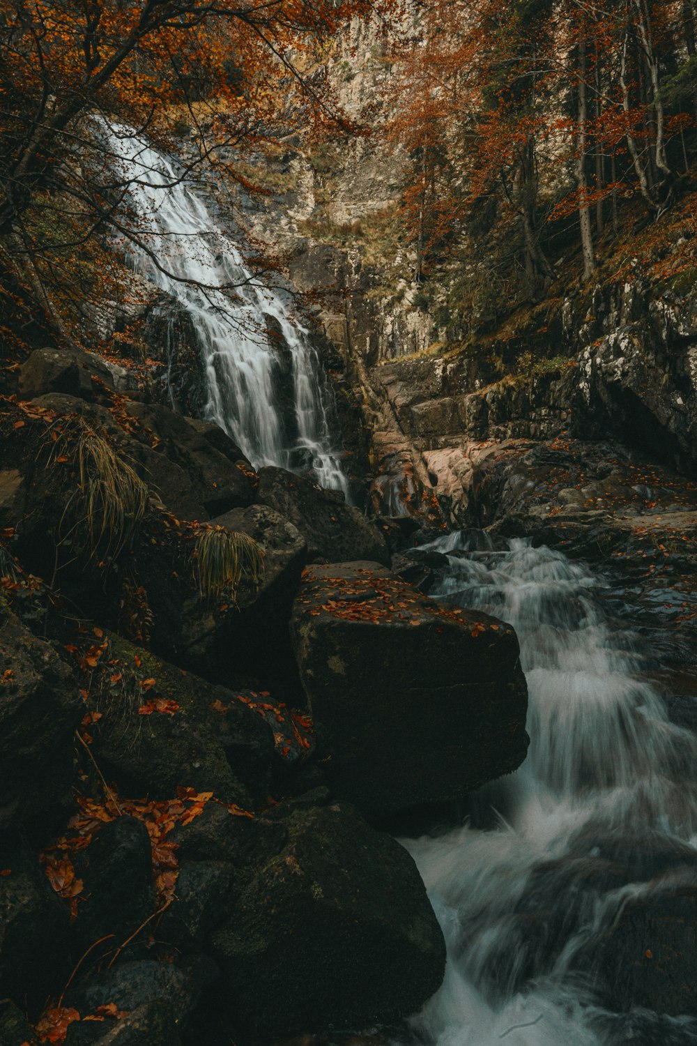 a waterfall in the middle of a forest