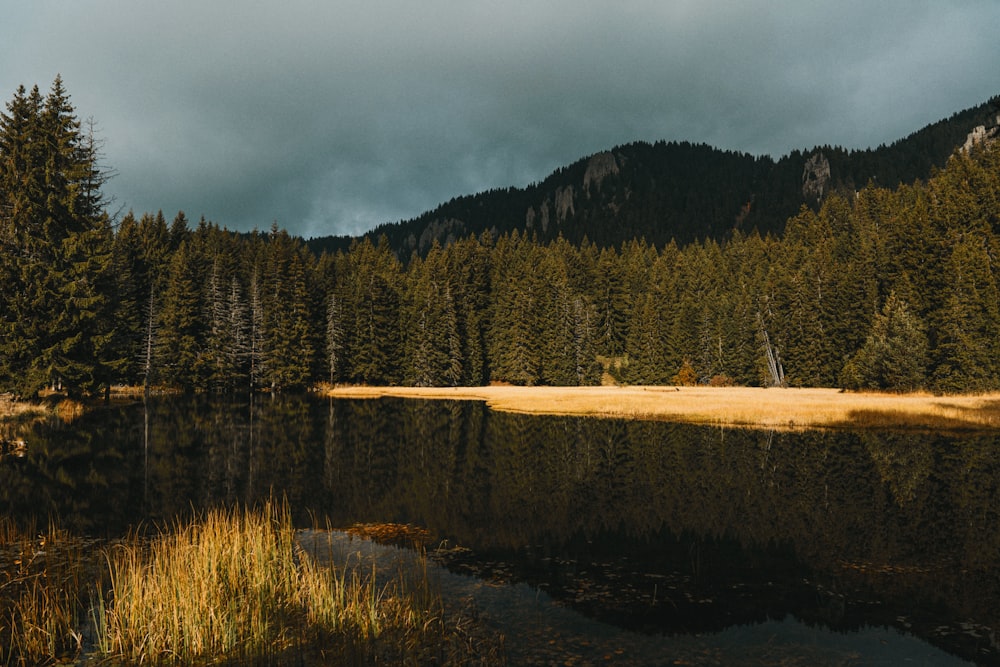 a lake surrounded by a forest under a cloudy sky