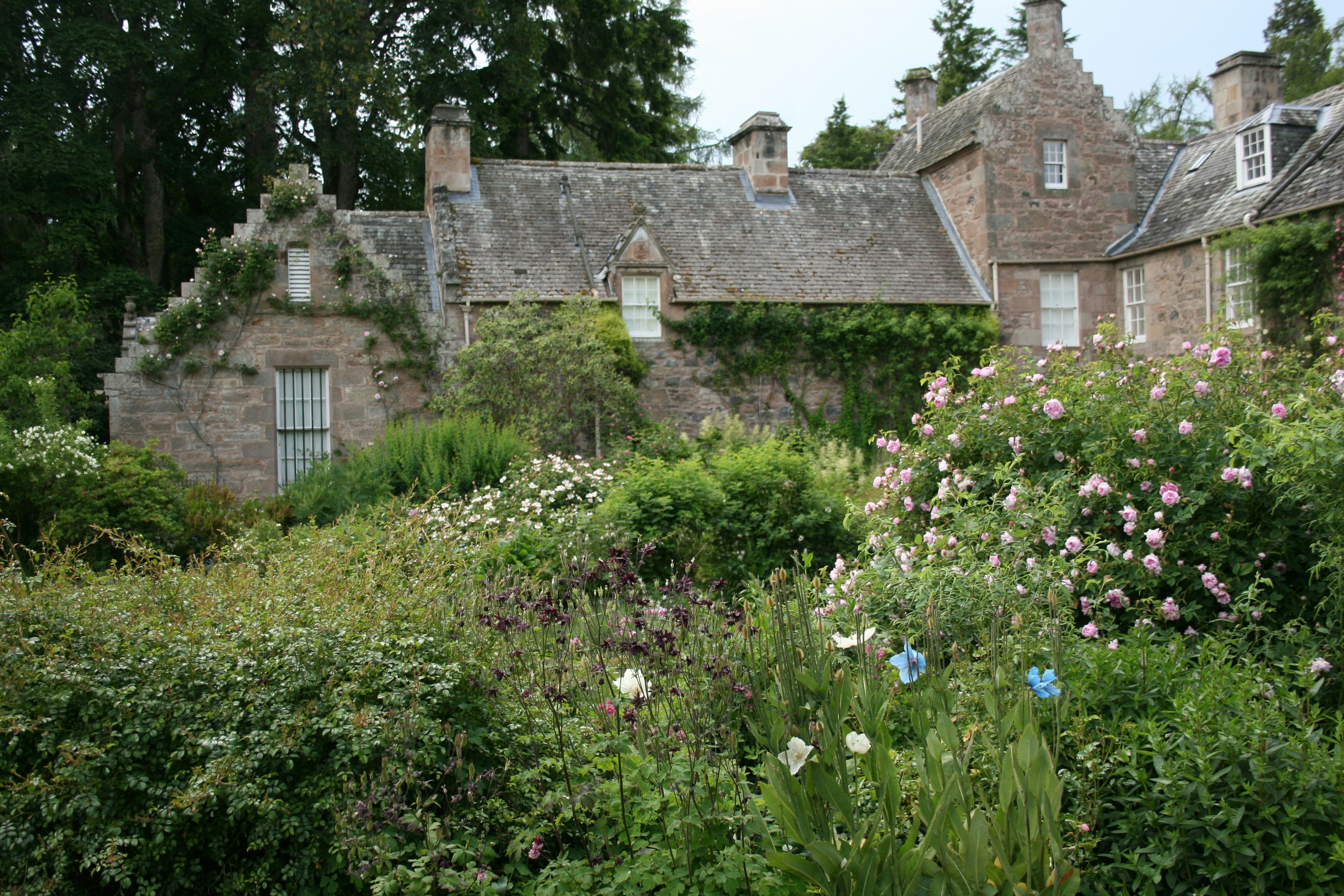 a house with a lot of flowers in front of it, Cawdor Castle, Scotland
