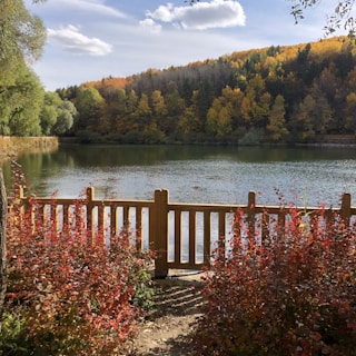 a wooden fence next to a body of water