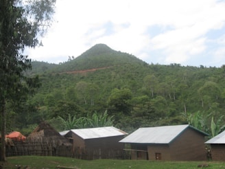 A rural setting with simple huts and houses in the foreground, surrounded by a lush green landscape. The backdrop features a densely forested hill under a partly cloudy sky. The scene is tranquil and depicts a connection to nature.