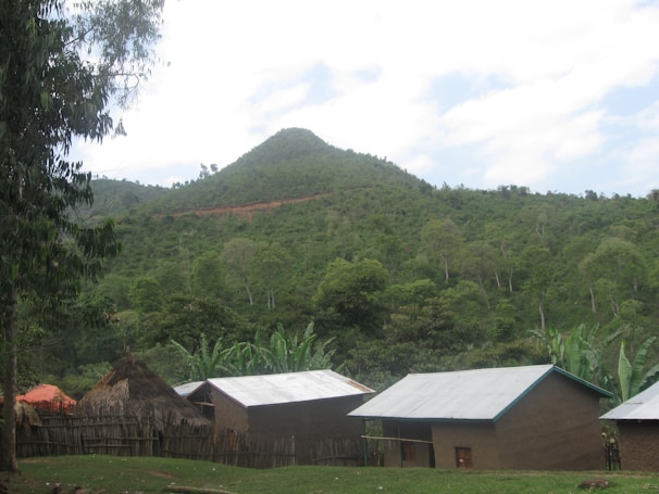 A rural setting with simple huts and houses in the foreground, surrounded by a lush green landscape. The backdrop features a densely forested hill under a partly cloudy sky. The scene is tranquil and depicts a connection to nature.