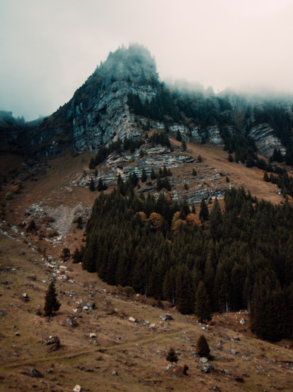 una montagna coperta di nebbia e alberi