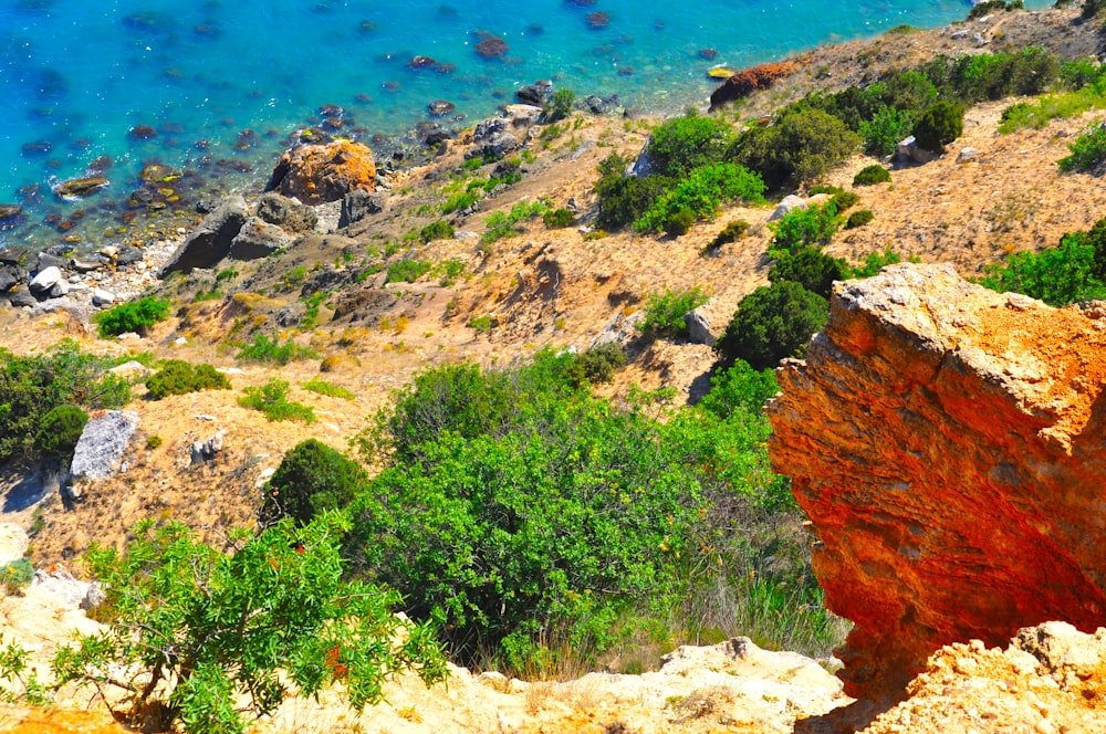 a view of a body of water from a cliff