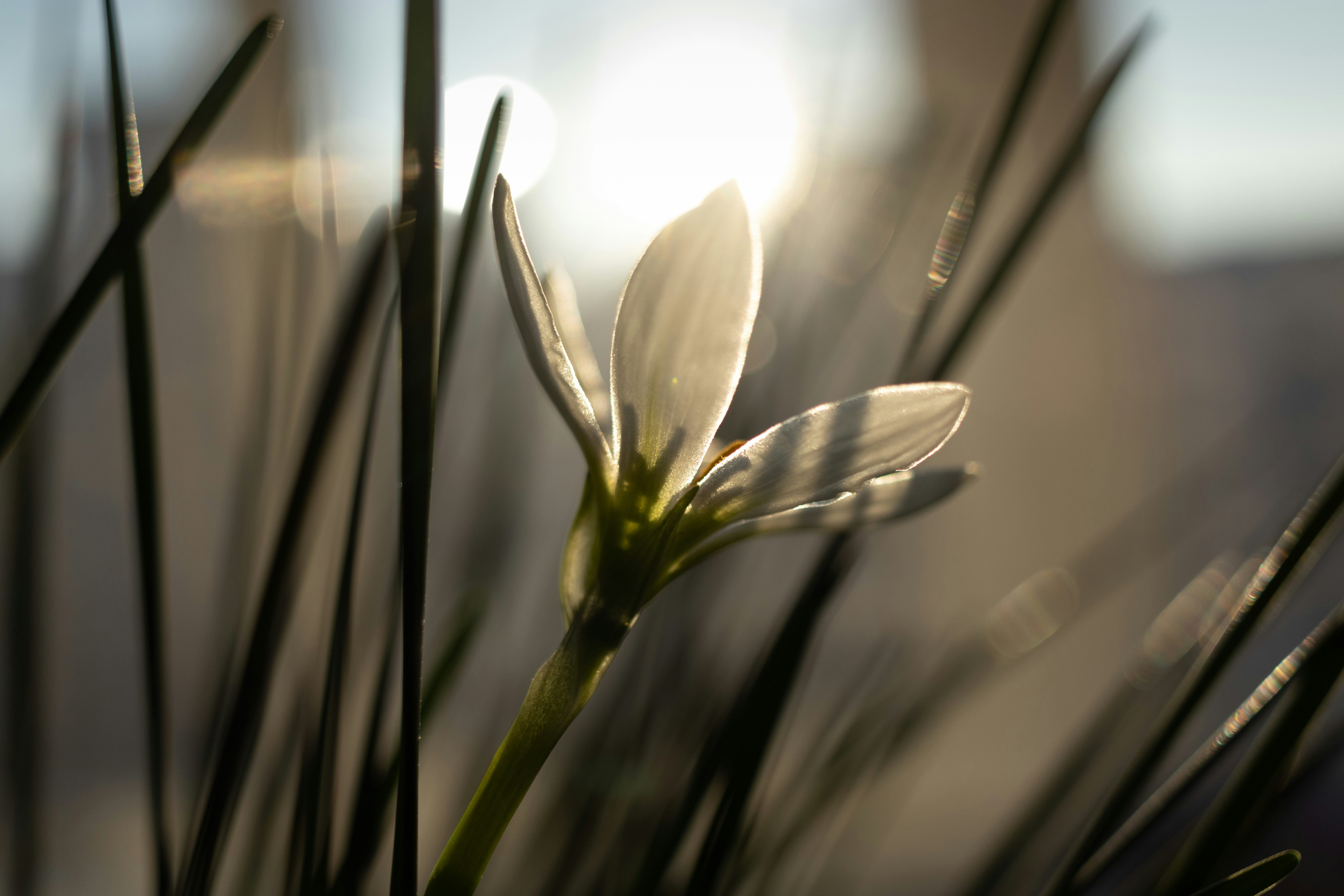 Photo by uin84917798