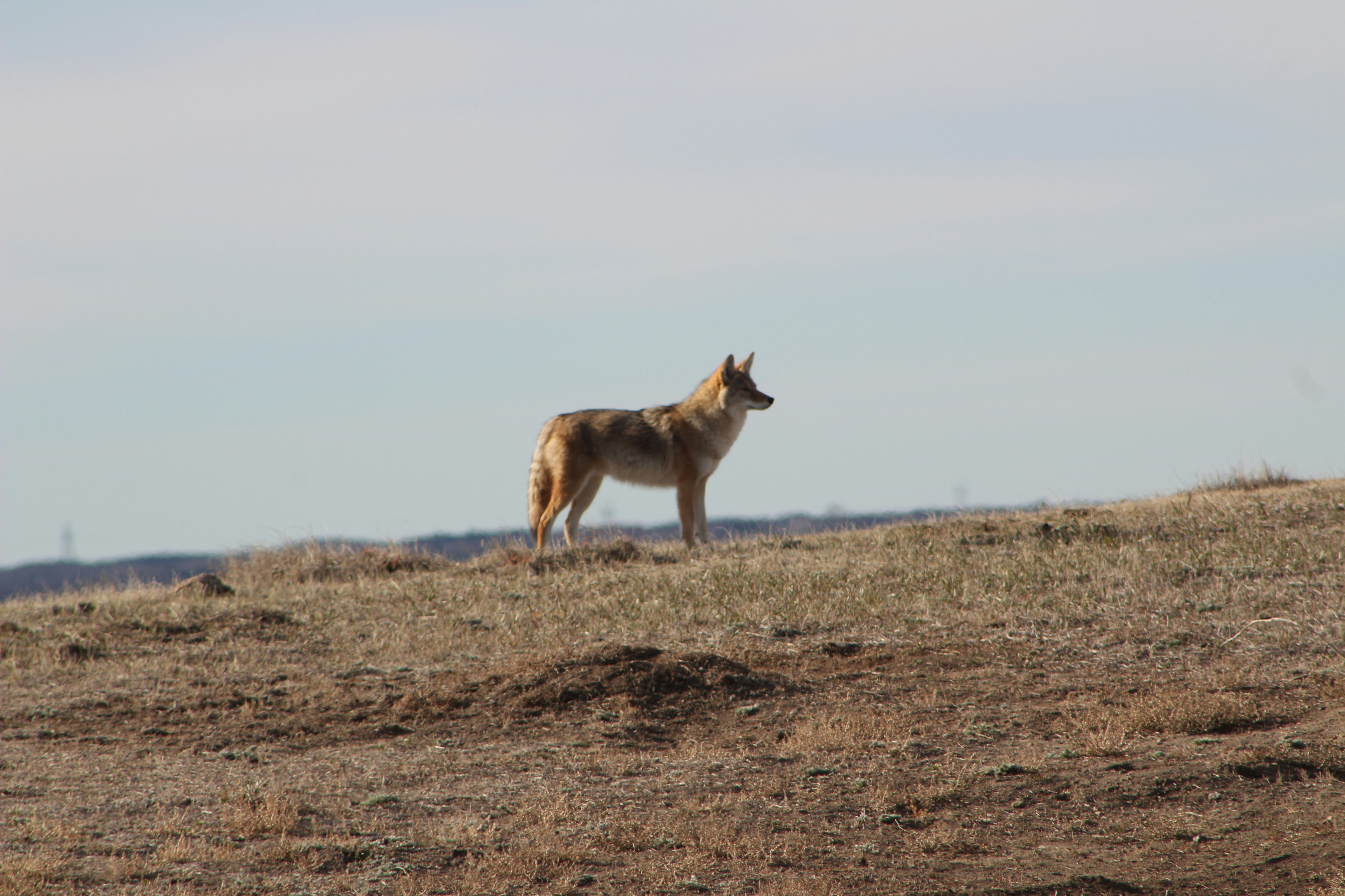 Photo by elijahaustin