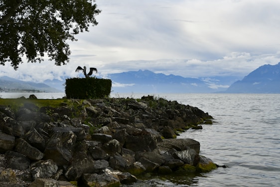 A serene landscape of Nova Scotia’s Mi'kmaq territory with traditional symbols subtly integrated into the natural surroundings.