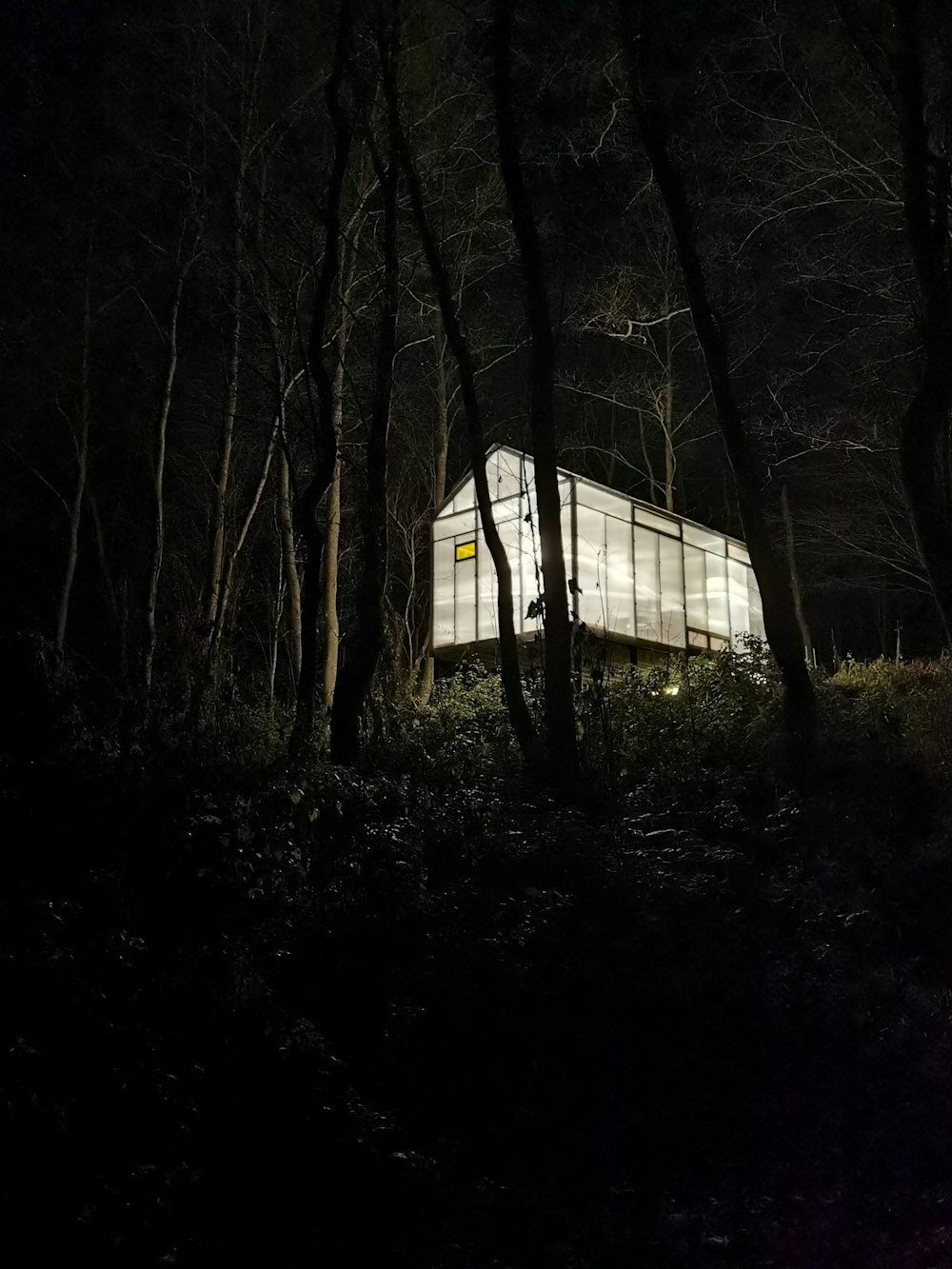 Un bâtiment au milieu d’une forêt la nuit