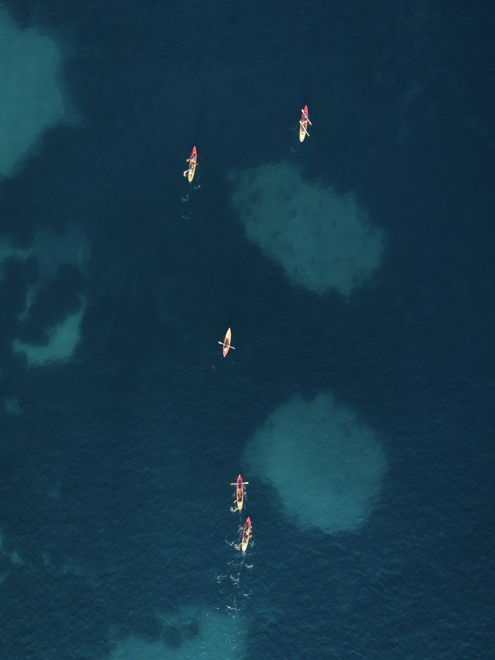 a group of people riding paddle boards on top of a body of water