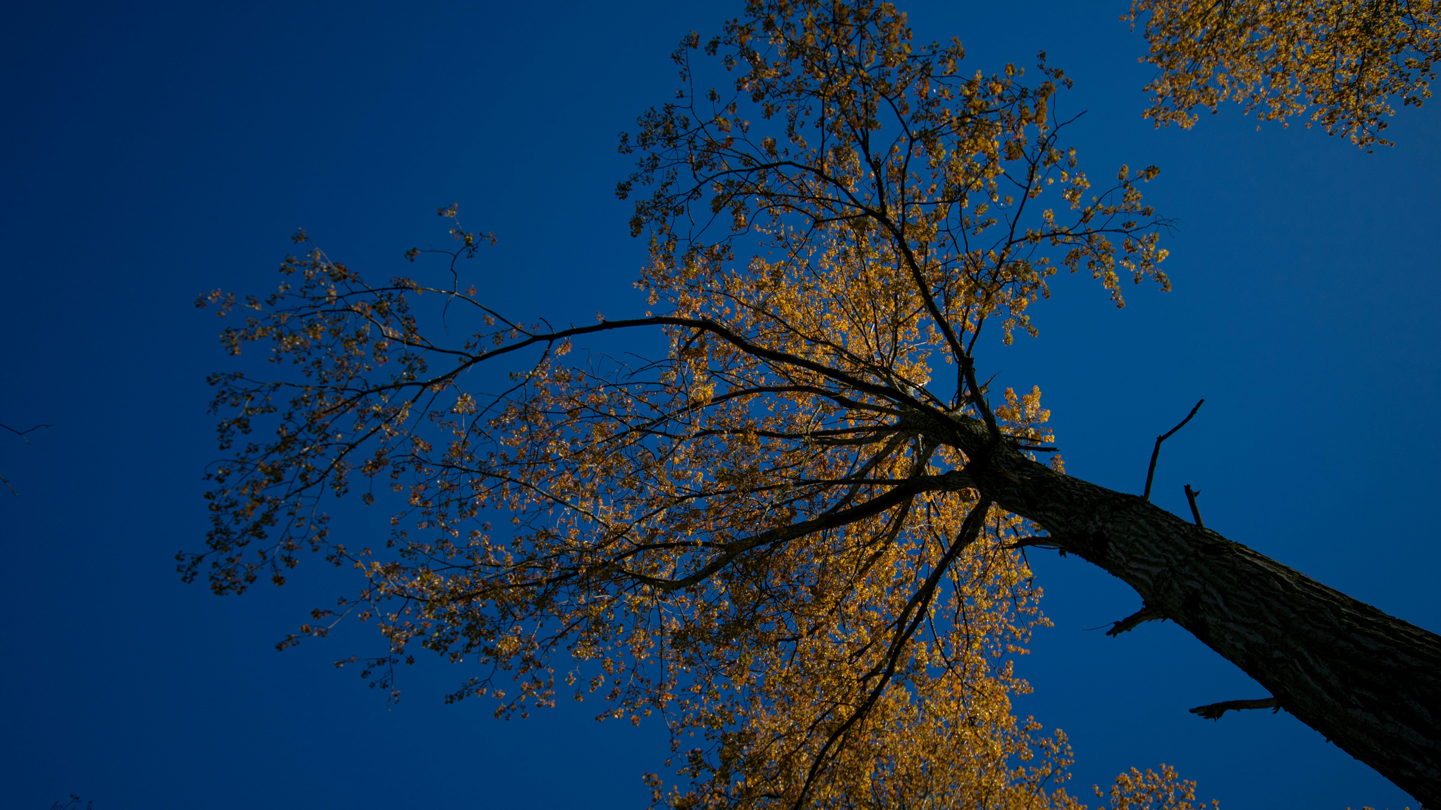 Photo by theo_aartsma