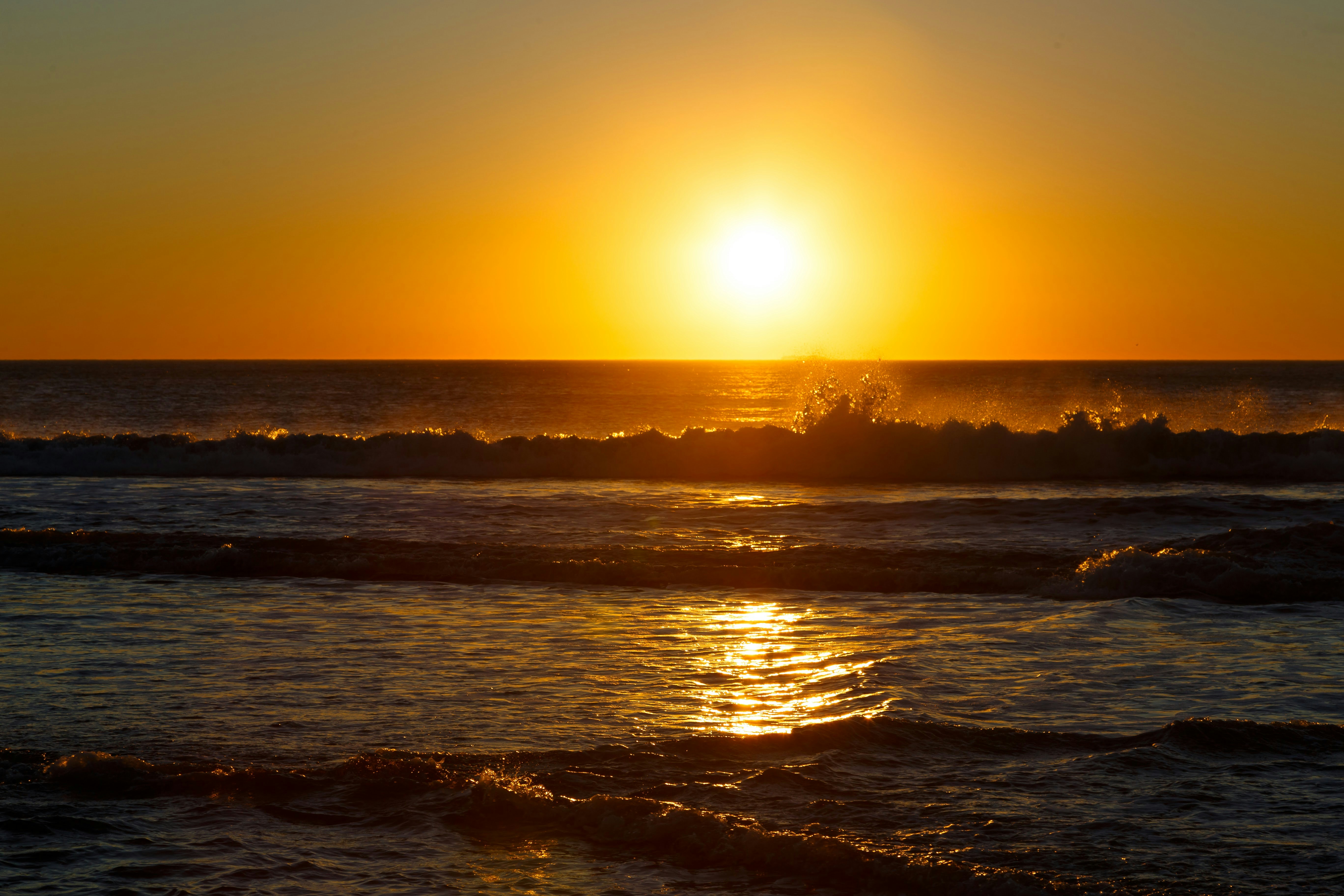 Photo by alien_roger