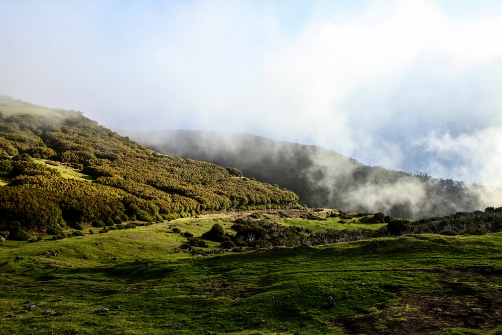 a lush green hillside covered in lots of clouds