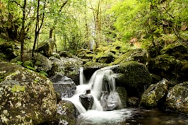 a small waterfall in the middle of a forest