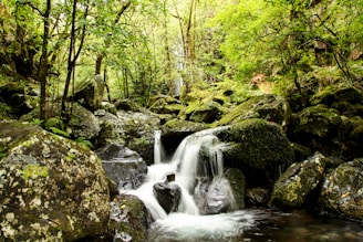a small waterfall in the middle of a forest