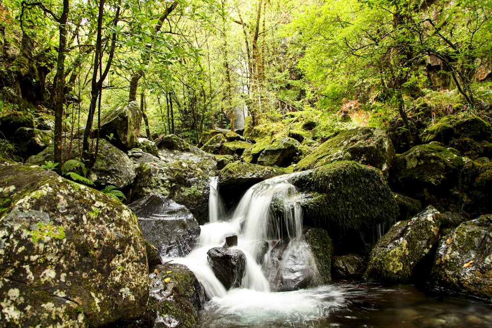 a small waterfall in the middle of a forest