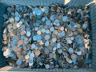 a bin filled with lots of different types of coins