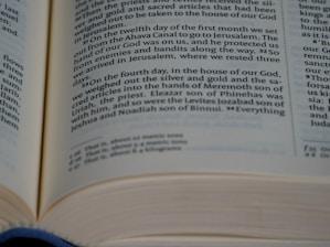 An open book with pages turning, symbolizing knowledge and tradition.