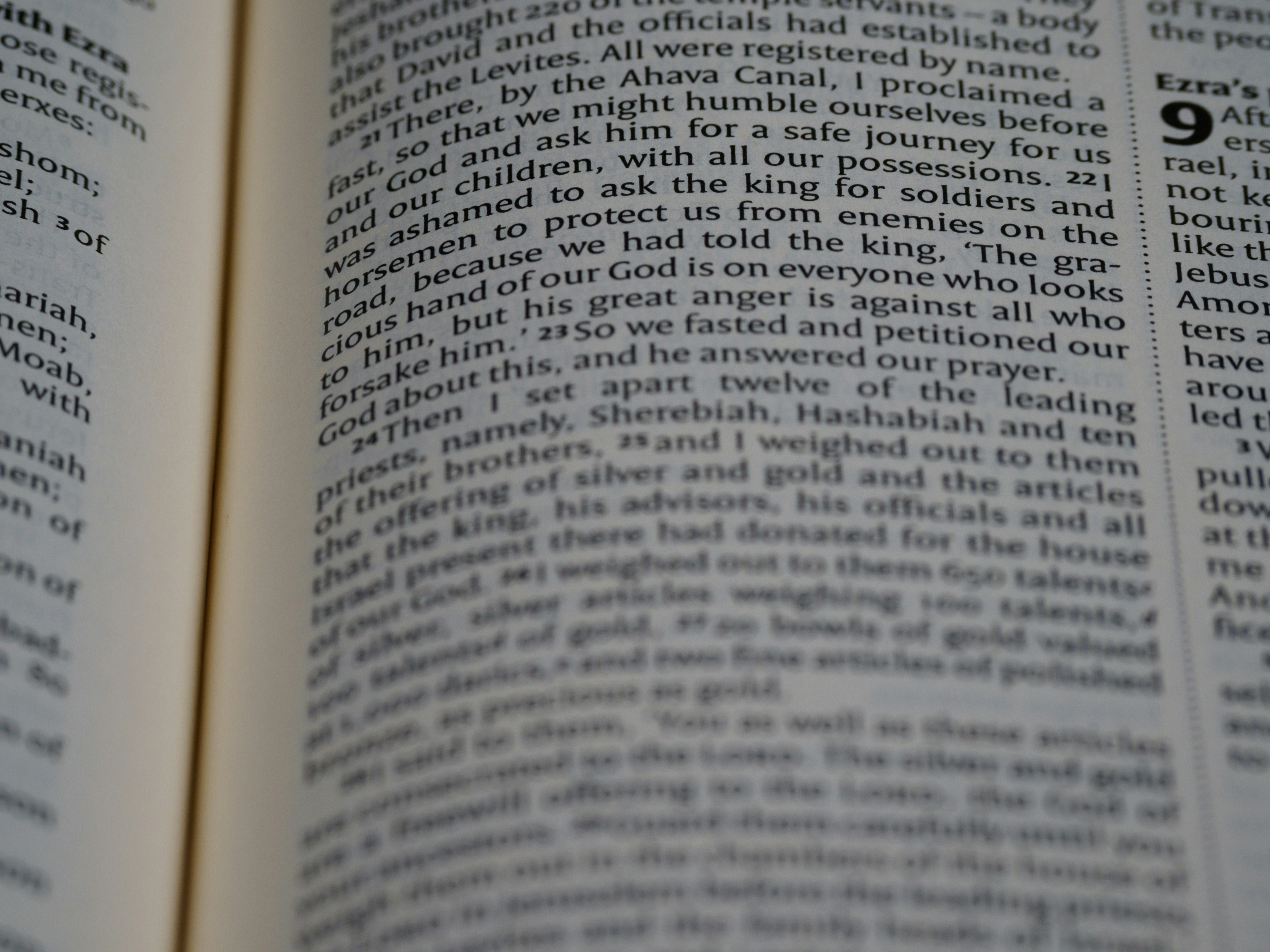 Photo by brett_jordan