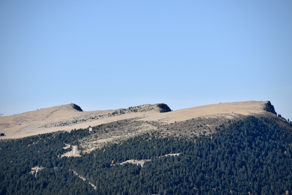 a view of a mountain with trees on it