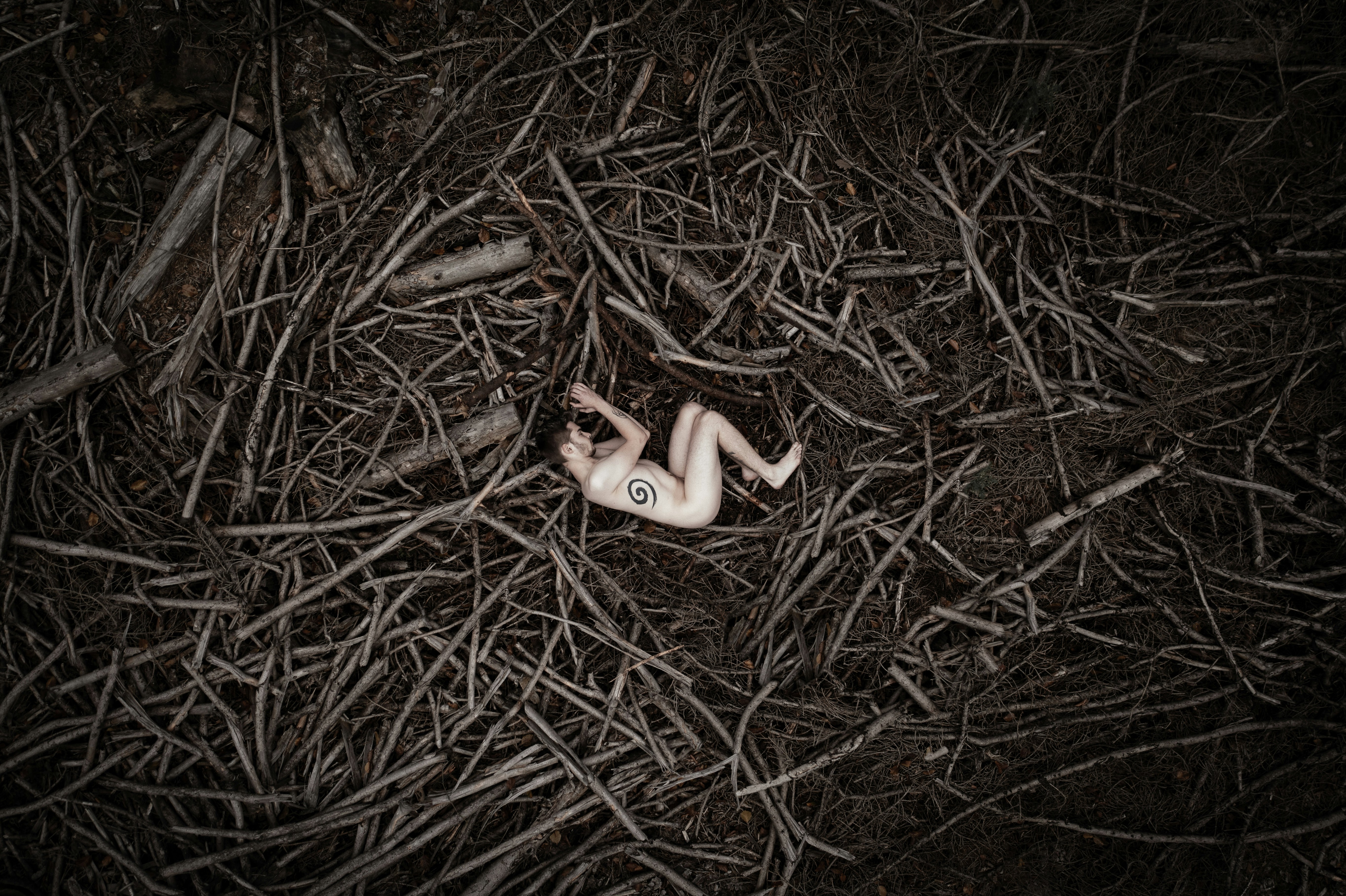a small white object laying on top of a pile of branches