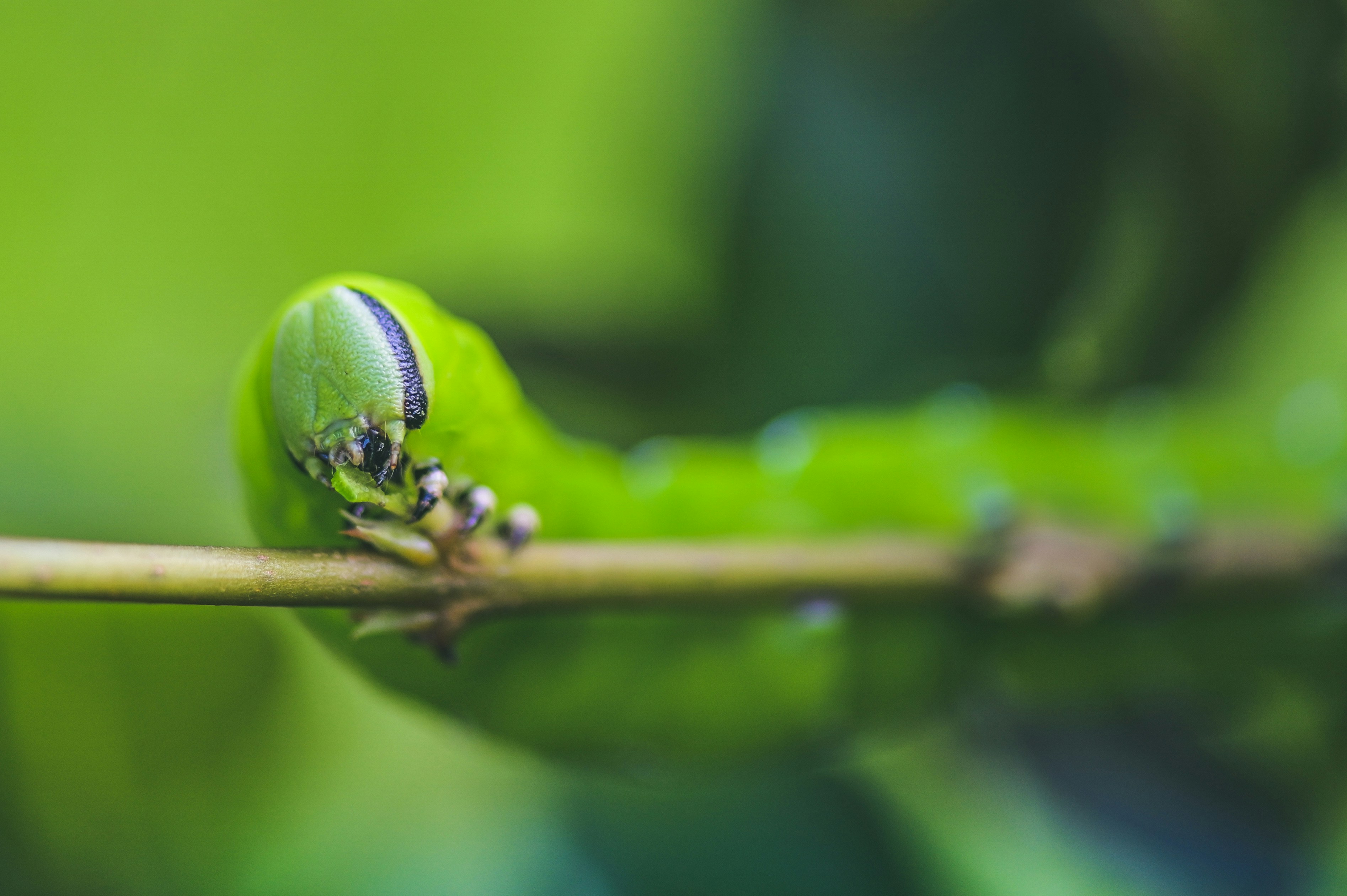 Photo by expeditionwildlife