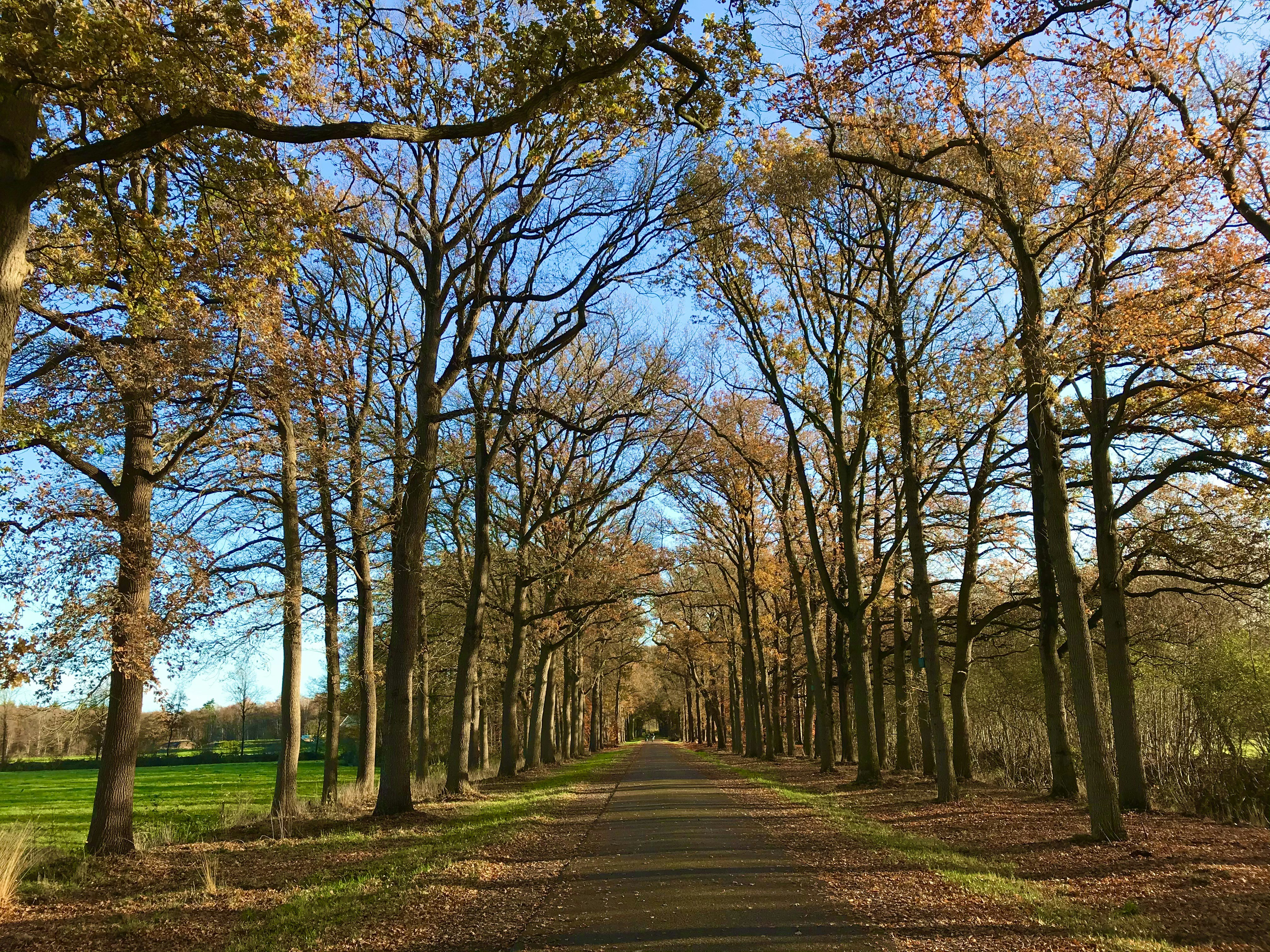 Photo by perryagerbeek