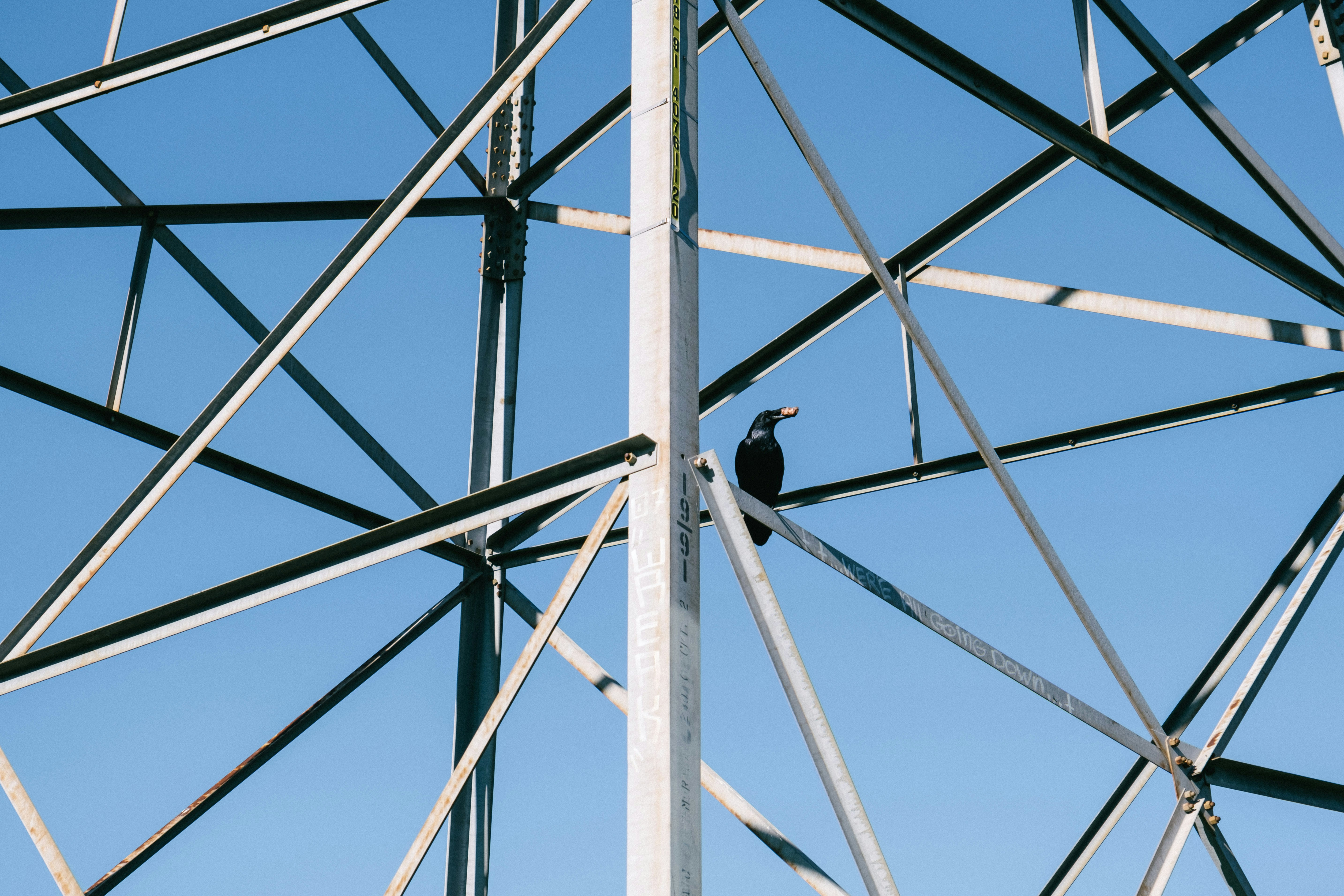 Photo by oliverengel