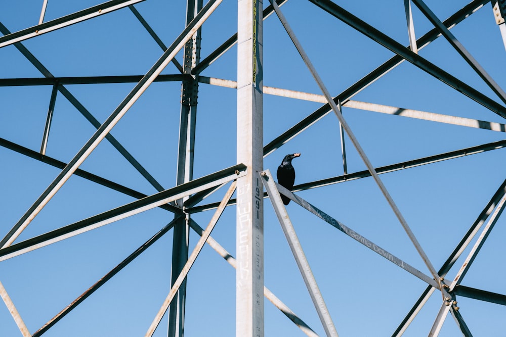 a bird is perched on top of a metal structure