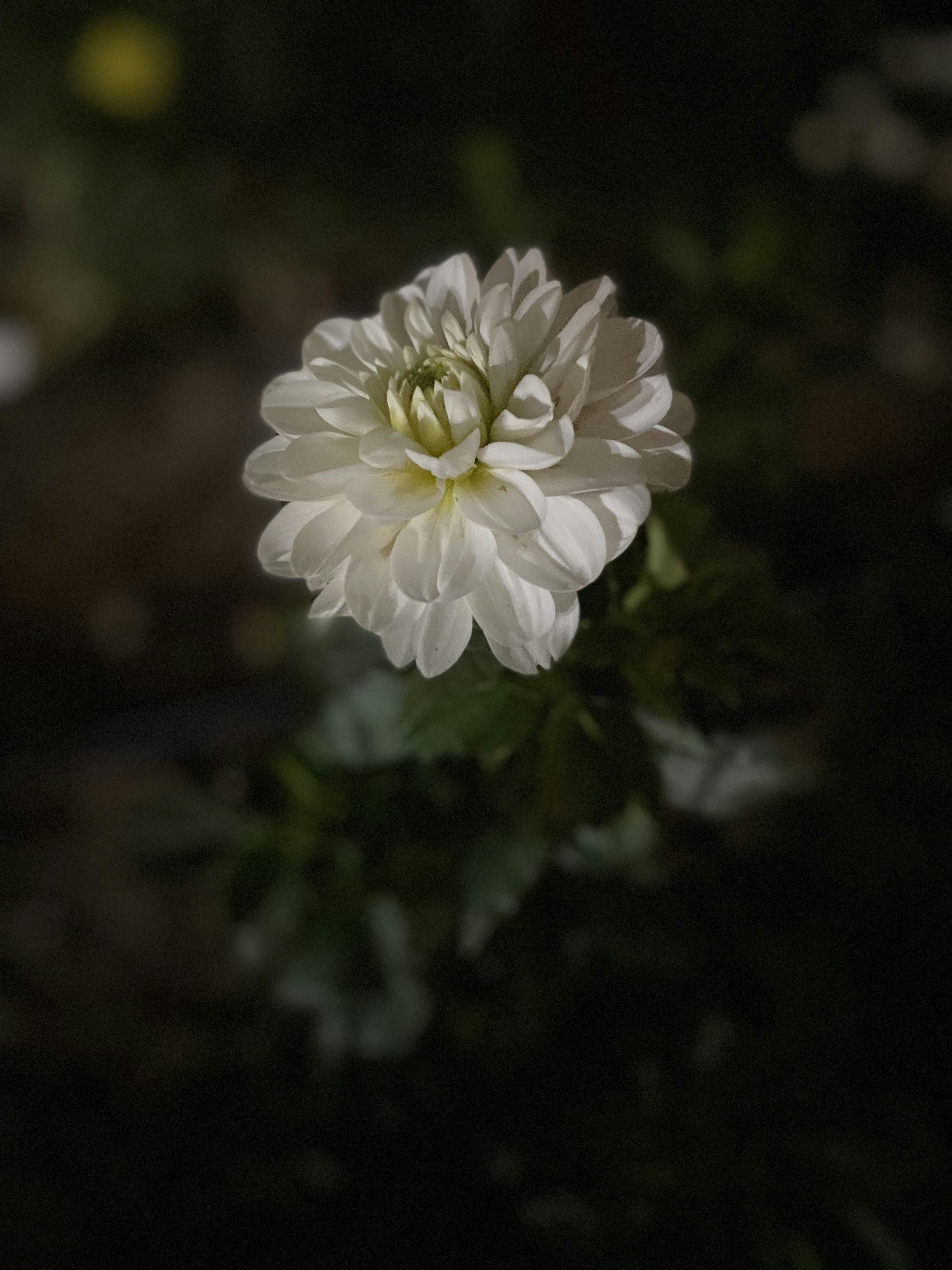 Photo by mojavephotography