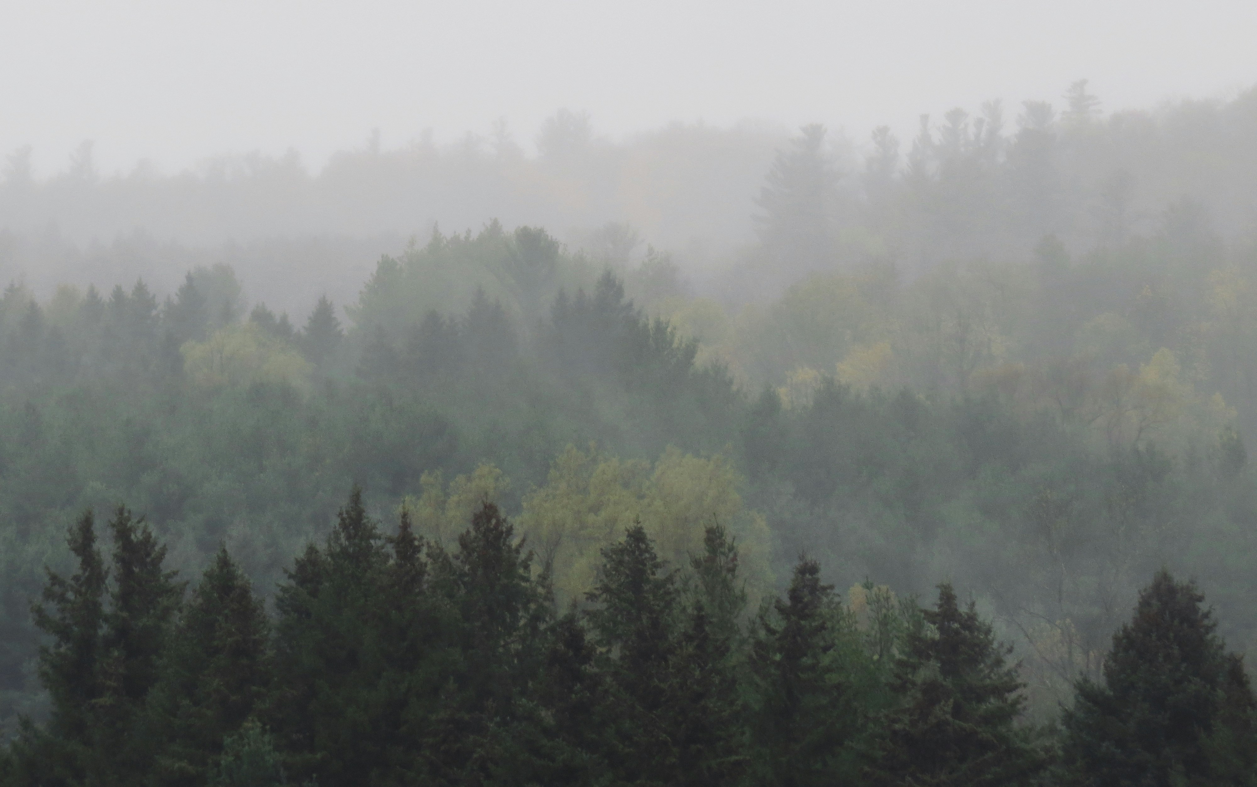 Photo by jaimedantas